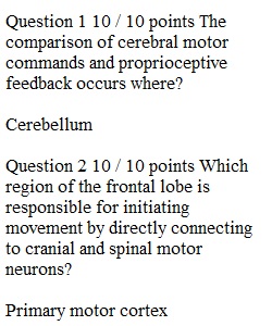 Week 13 Quiz 9